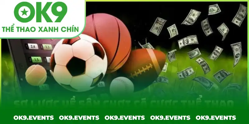 Sơ lược về sân chơi cá cược thể thao tại OK9